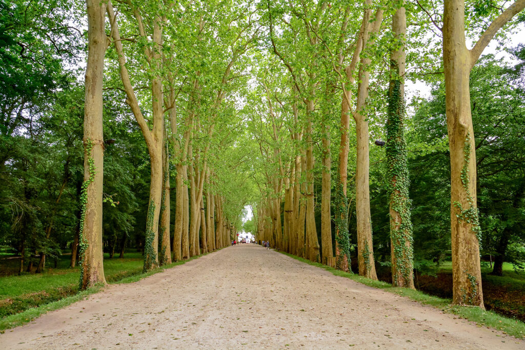 Le Val de Loire